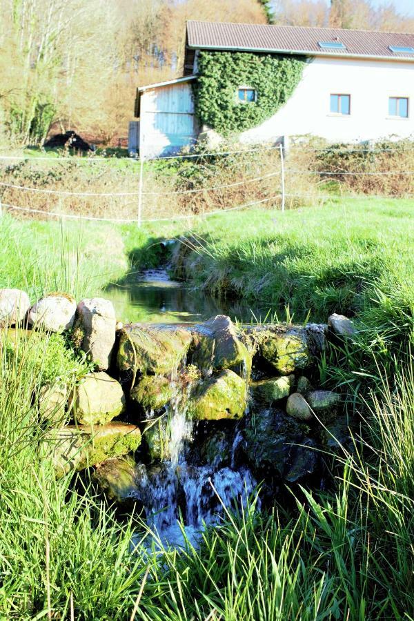 Au Temps De La Source Villa Raon-aux-Bois Bagian luar foto